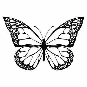 博客更新成 Butterfly Theme 的过程中遇到的问题